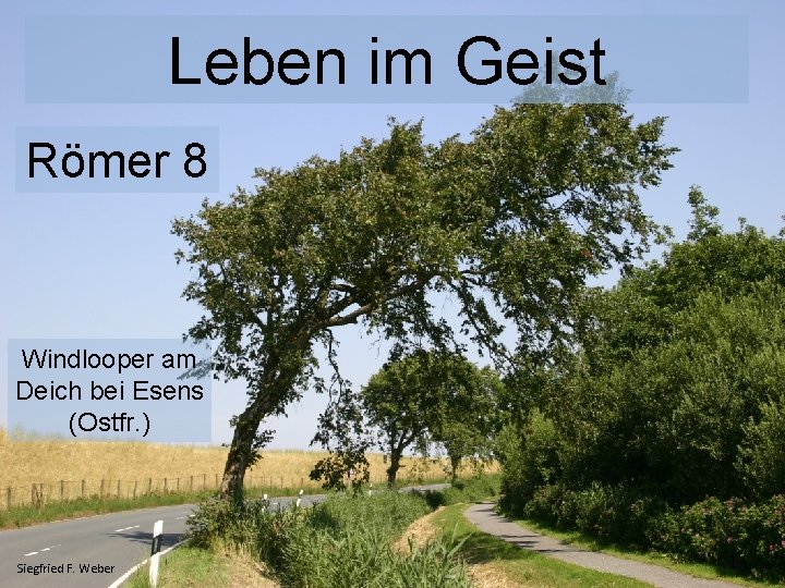 Leben im Geist Römer 8 Windlooper am Deich bei Esens (Ostfr. ) Siegfried F.