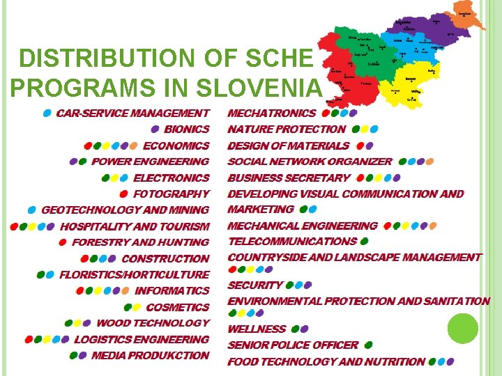 DISTRIBUTION OF SCHE PROGRAMS IN SLOVENIA 