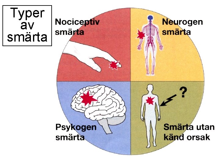 Typer av smärta 