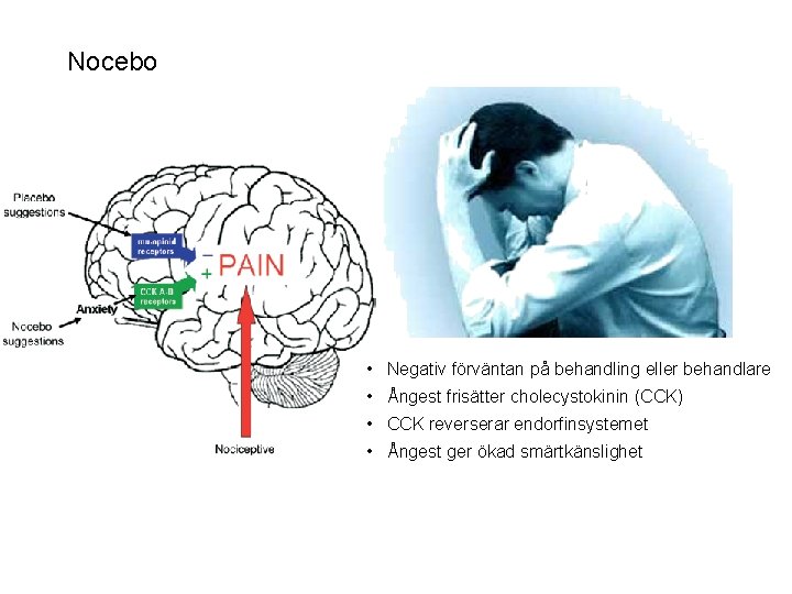 Nocebo • Negativ förväntan på behandling eller behandlare • Ångest frisätter cholecystokinin (CCK) •