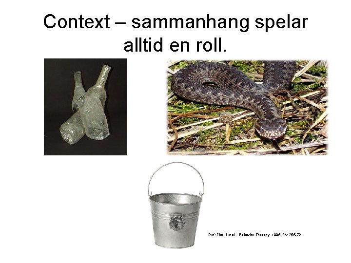 Context – sammanhang spelar alltid en roll. Ref: Flor H etal, . Behavior Therapy,