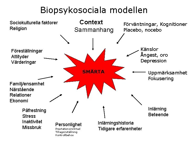 Biopsykosociala modellen Sociokulturella faktorer Religion Context Sammanhang Förväntningar, Kognitioner Placebo, nocebo Känslor Ångest, oro