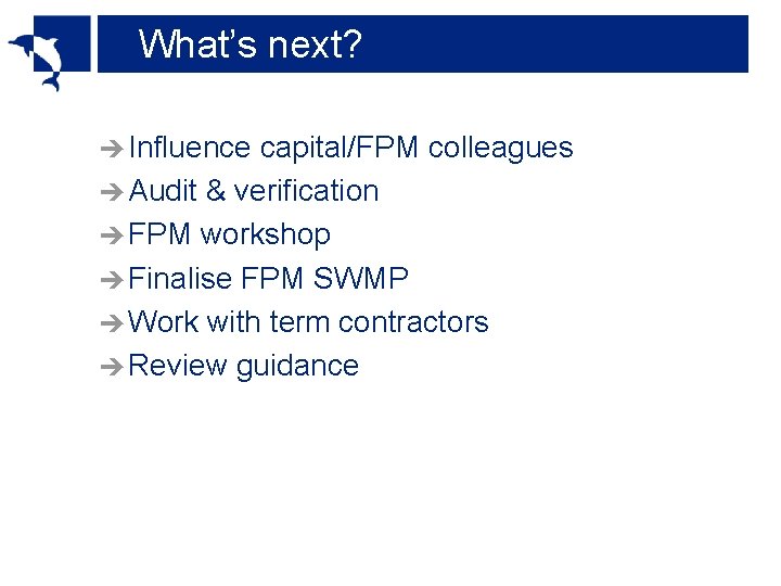 What’s next? è Influence capital/FPM colleagues è Audit & verification è FPM workshop è