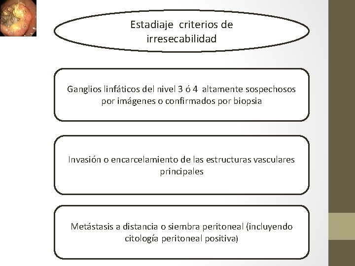 Estadiaje criterios de irresecabilidad Ganglios linfáticos del nivel 3 ó 4 altamente sospechosos por