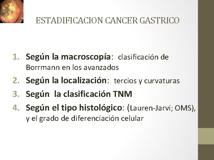 ESTADIFICACION CANCER GASTRICO 1. Según la macroscopía: clasificación de Borrmann en los avanzados 2.