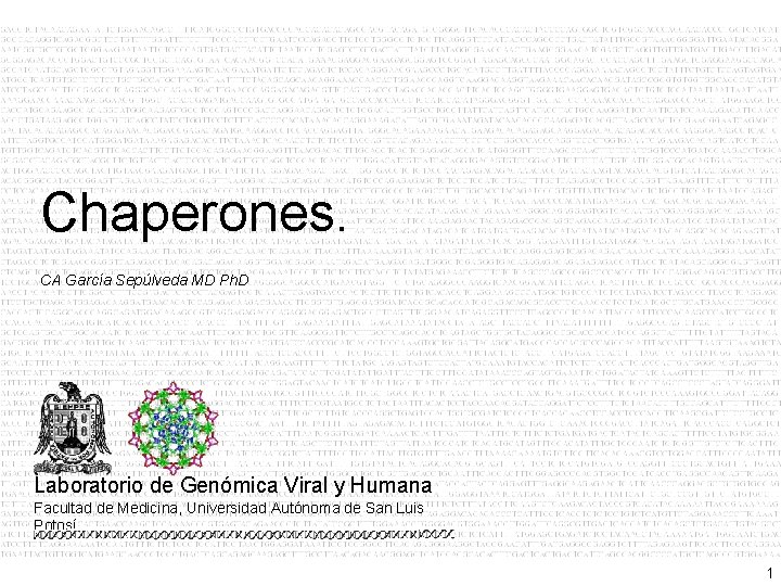 Chaperones. CA García Sepúlveda MD Ph. D Laboratorio de Genómica Viral y Humana Facultad