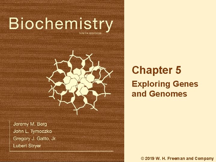 Chapter 5 Exploring Genes and Genomes 2019 W