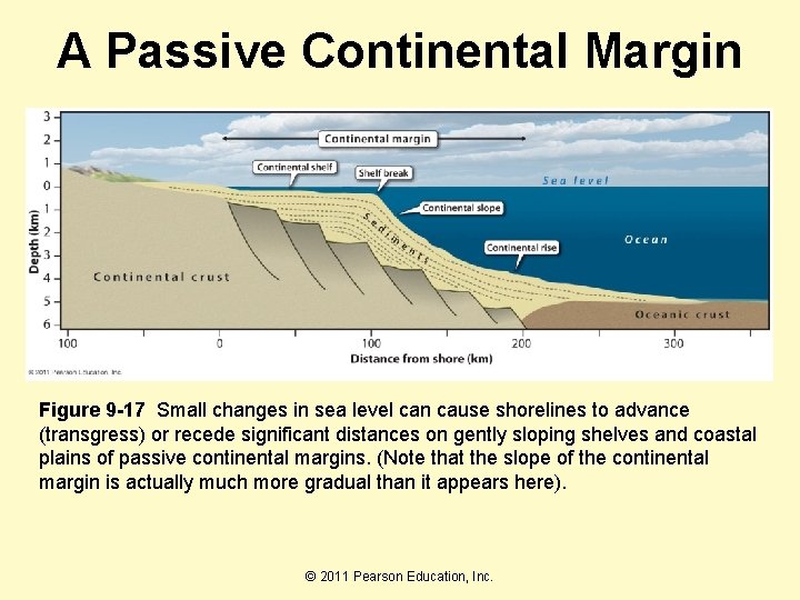 A Passive Continental Margin Figure 9 -17 Small changes in sea level can cause