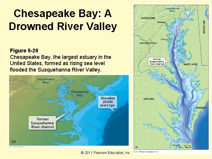 Chesapeake Bay: A Drowned River Valley Figure 9 -20 Chesapeake Bay, the largest estuary