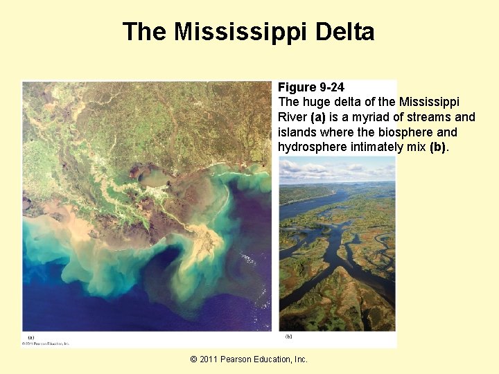 The Mississippi Delta Figure 9 -24 The huge delta of the Mississippi River (a)