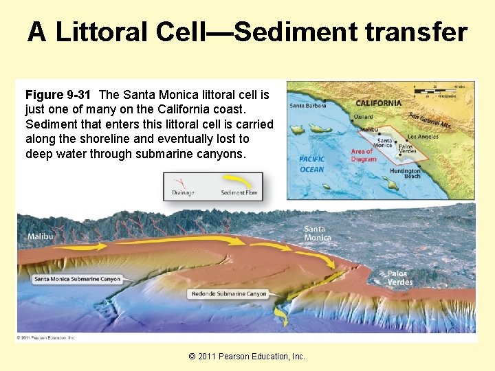 A Littoral Cell—Sediment transfer Figure 9 -31 The Santa Monica littoral cell is just