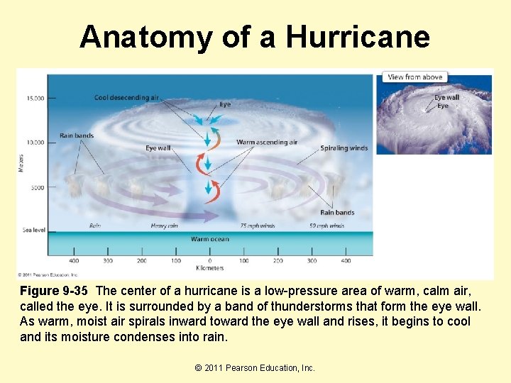 Anatomy of a Hurricane Figure 9 -35 The center of a hurricane is a