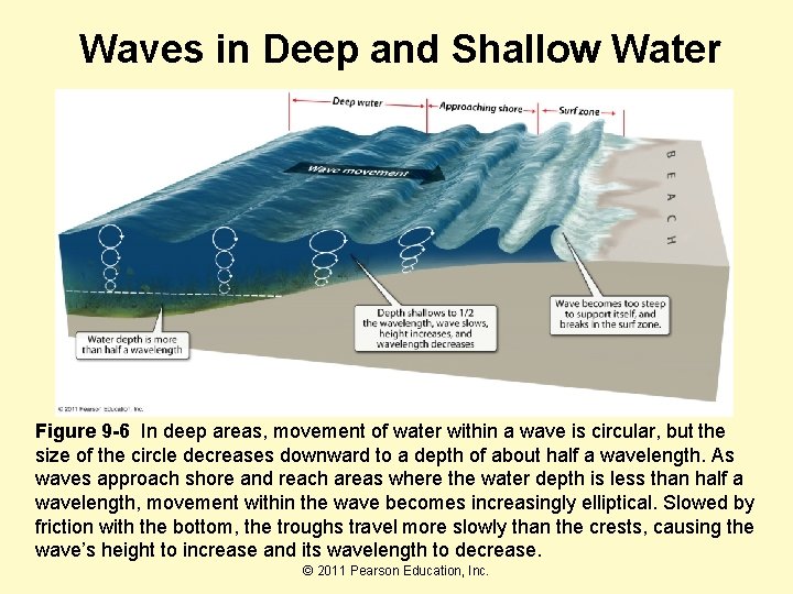 Waves in Deep and Shallow Water Figure 9 -6 In deep areas, movement of