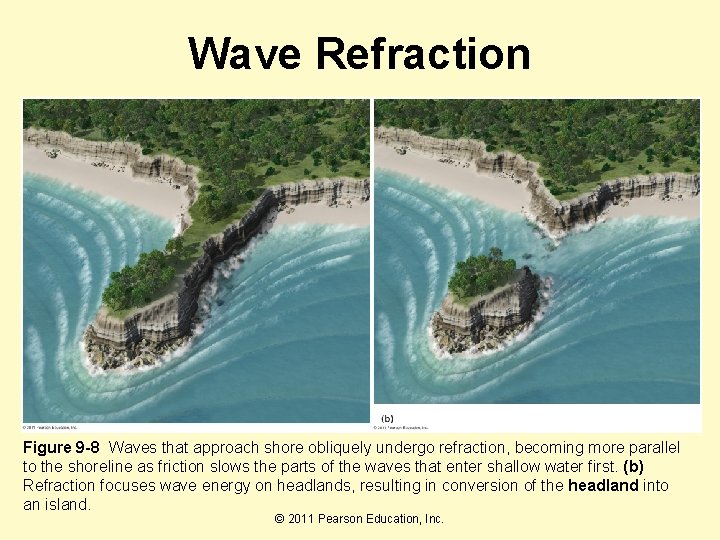 Wave Refraction Figure 9 -8 Waves that approach shore obliquely undergo refraction, becoming more