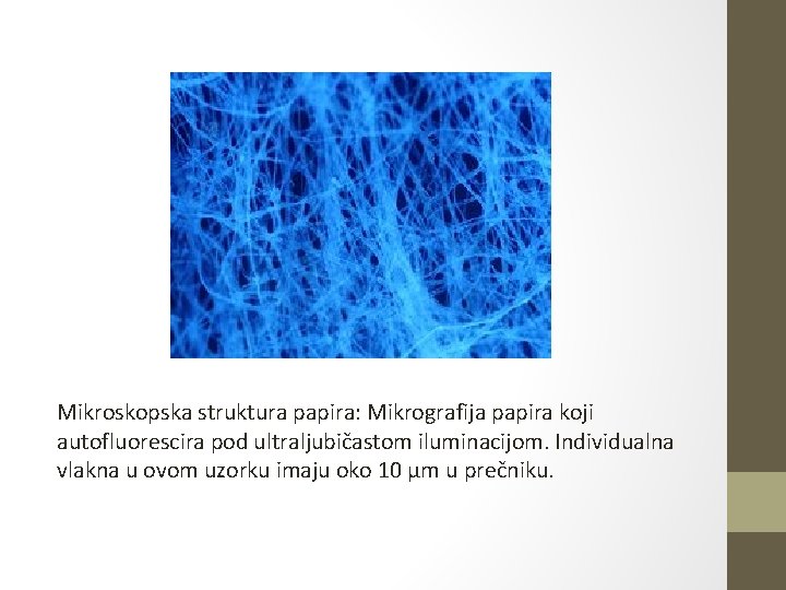 Mikroskopska struktura papira: Mikrografija papira koji autofluorescira pod ultraljubičastom iluminacijom. Individualna vlakna u ovom