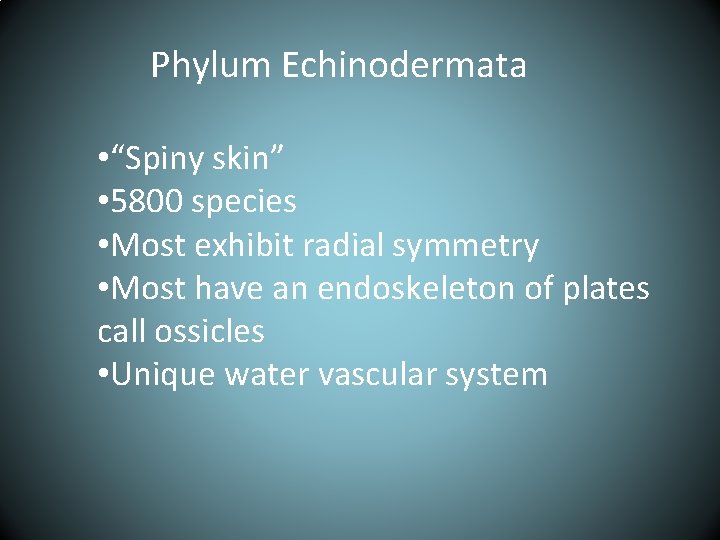Phylum Echinodermata • “Spiny skin” • 5800 species • Most exhibit radial symmetry •