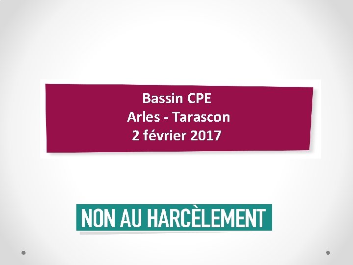 Bassin CPE Arles - Tarascon 2 février 2017 