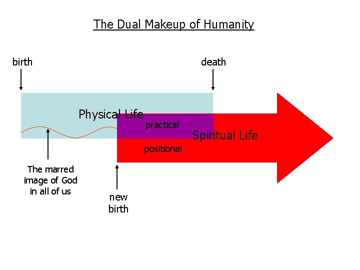 The Dual Makeup of Humanity birth death Physical Life practical positional The marred image