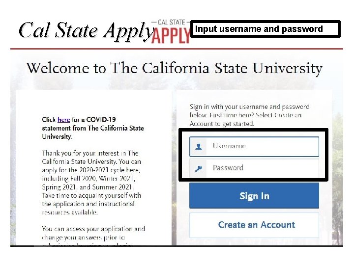 Cal State Apply Input username and password 