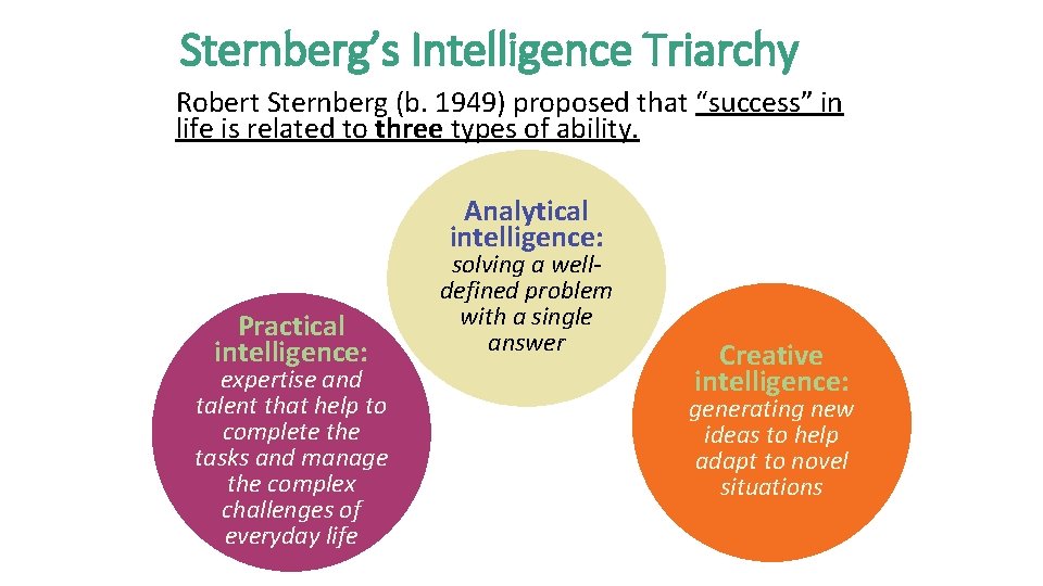 Sternberg’s Intelligence Triarchy Robert Sternberg (b. 1949) proposed that “success” in life is related