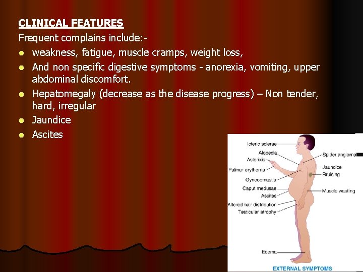 CLINICAL FEATURES Frequent complains include: l weakness, fatigue, muscle cramps, weight loss, l And