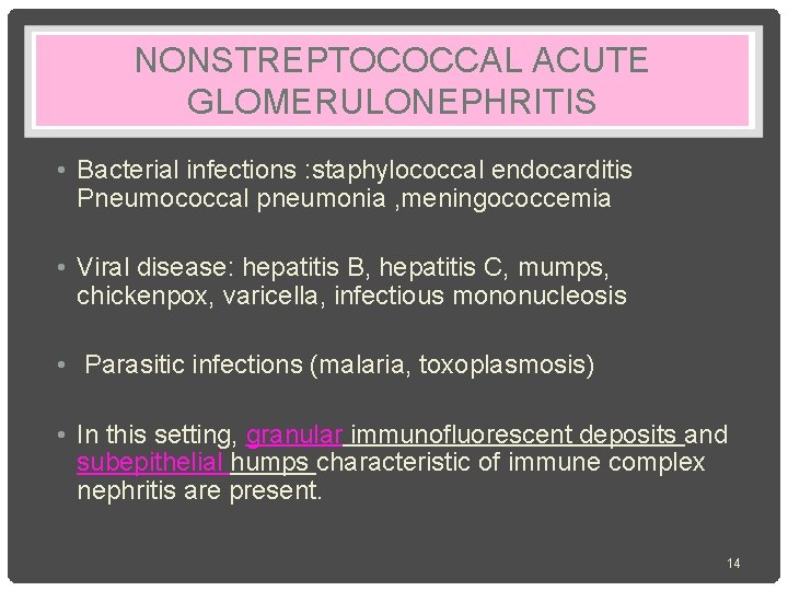 NONSTREPTOCOCCAL ACUTE GLOMERULONEPHRITIS • Bacterial infections : staphylococcal endocarditis Pneumococcal pneumonia , meningococcemia •