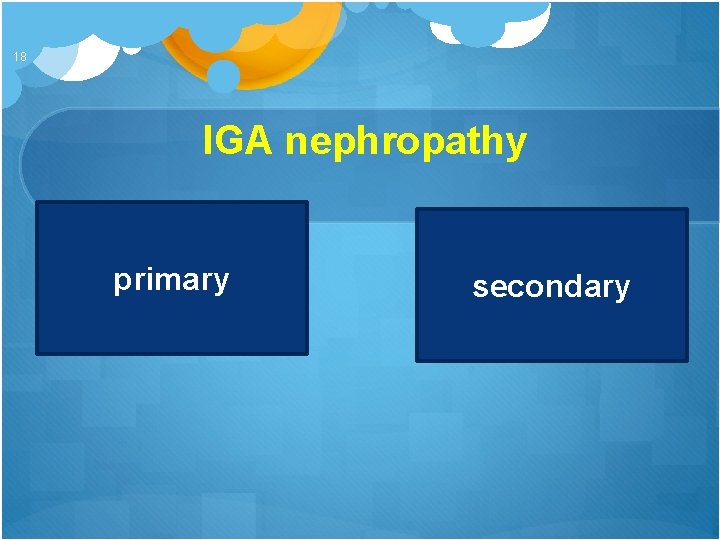 18 IGA nephropathy primary secondary 