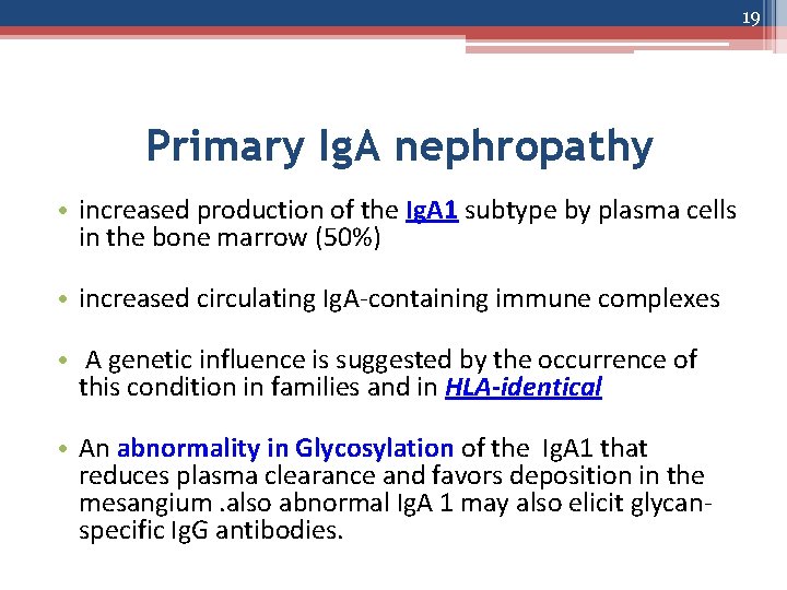 19 Primary Ig. A nephropathy • increased production of the Ig. A 1 subtype