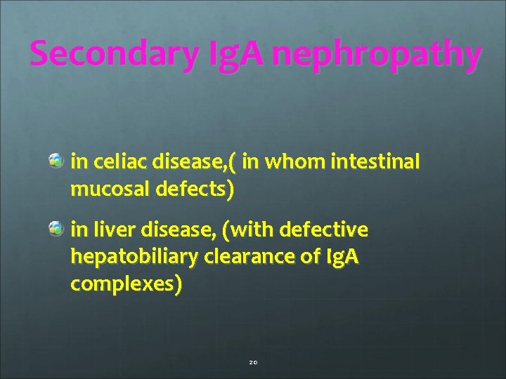 Secondary Ig. A nephropathy in celiac disease, ( in whom intestinal mucosal defects) in