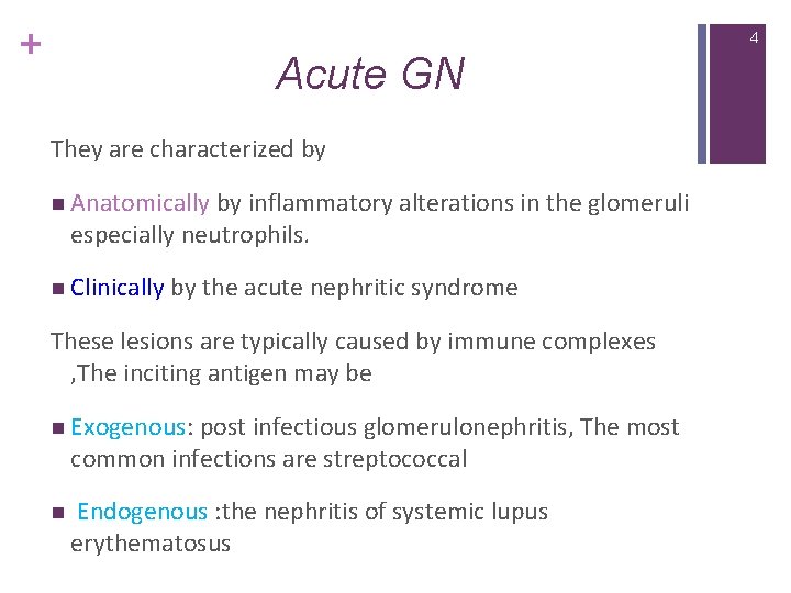 + 4 Acute GN They are characterized by n Anatomically by inflammatory alterations in