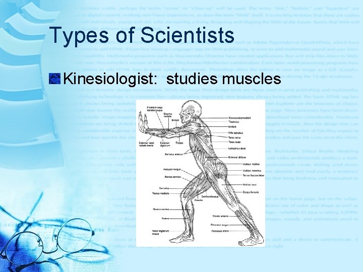 Types of Scientists Kinesiologist: studies muscles 