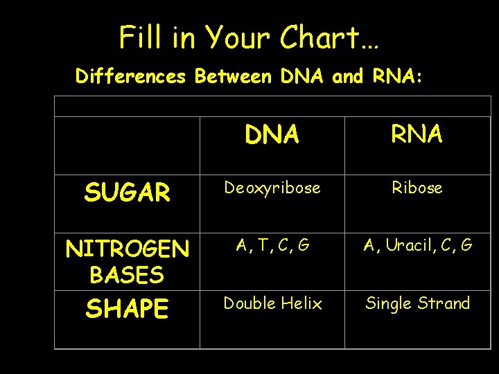 RIBONUCLEIC ACID RNA HOW IS RNA DIFFERENT FROM