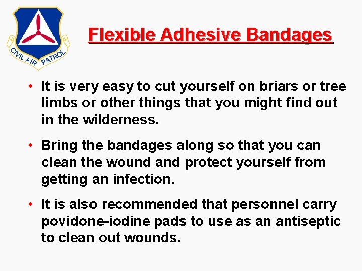 Flexible Adhesive Bandages • It is very easy to cut yourself on briars or Flexible Adhesive Bandages • It is very easy to cut yourself on briars or