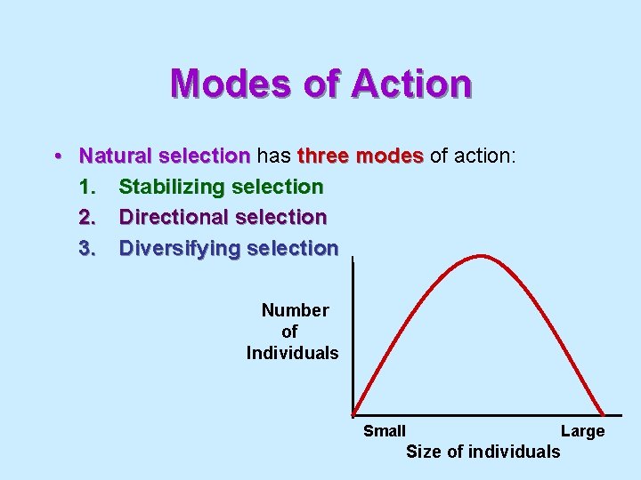 Modes of Action • Natural selection has three modes of action: 1. Stabilizing selection