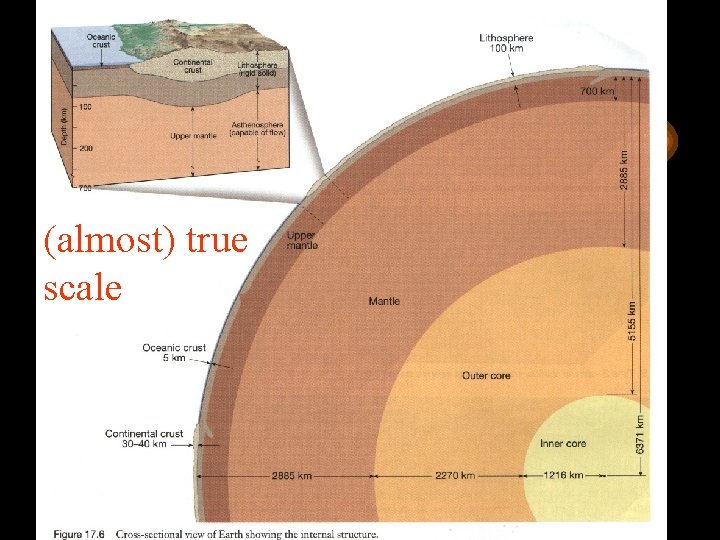 (almost) true scale 