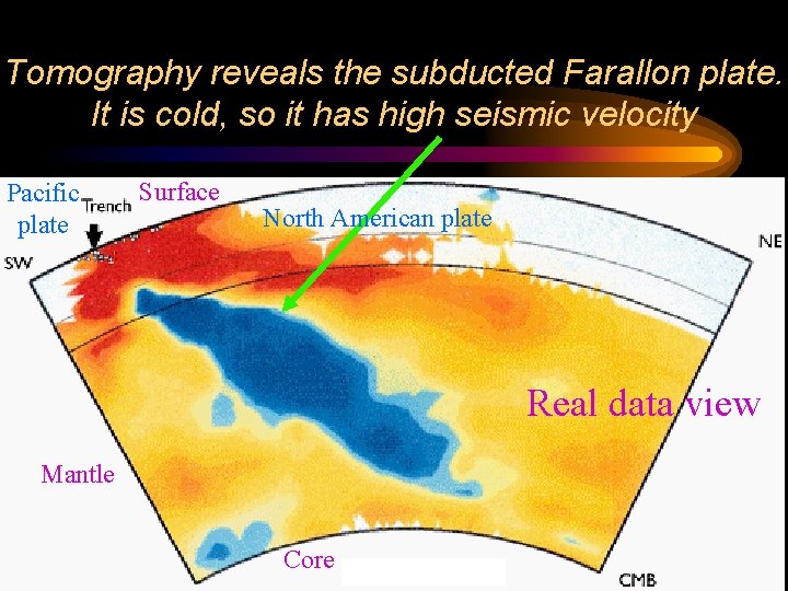 Tomography reveals the subducted Farallon plate. It is cold, so it has high seismic