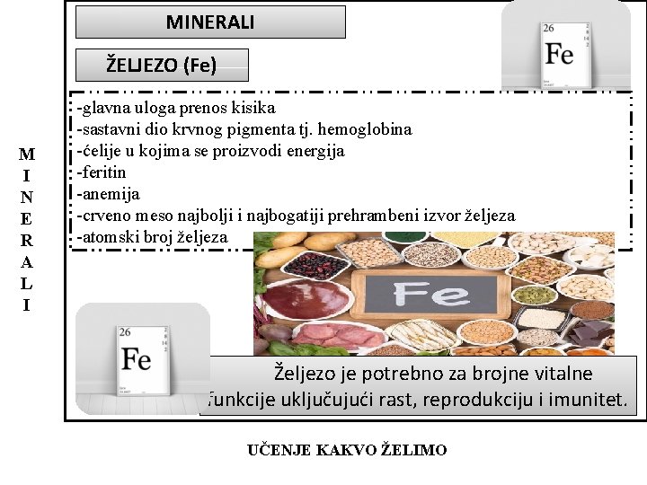 MINERALI ŽELJEZO (Fe) M I N E R A L I -glavna uloga prenos