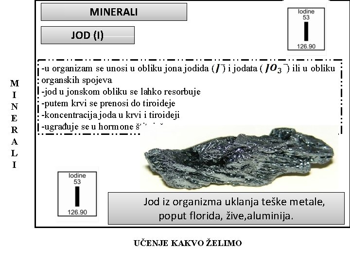 MINERALI JOD (I) M I N E R A L I -u organizam se