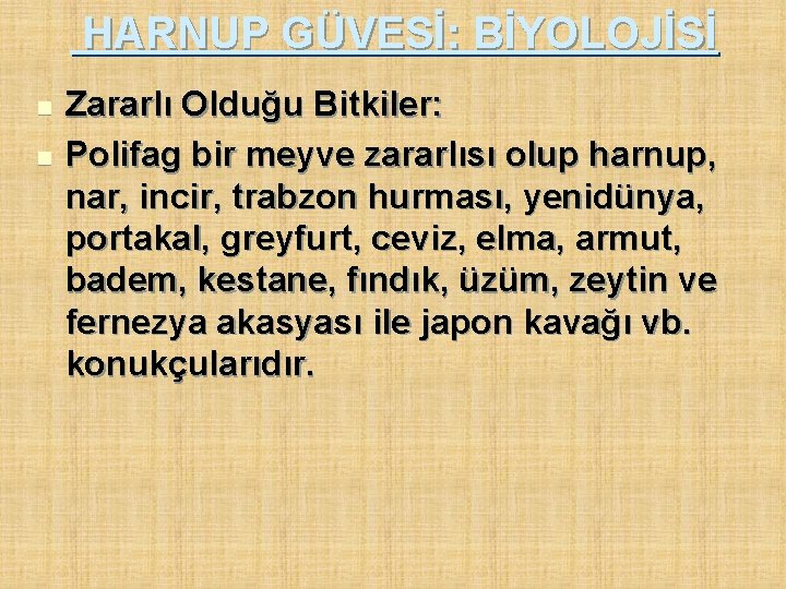 HARNUP GÜVESİ: BİYOLOJİSİ n n Zararlı Olduğu Bitkiler: Polifag bir meyve zararlısı olup harnup,