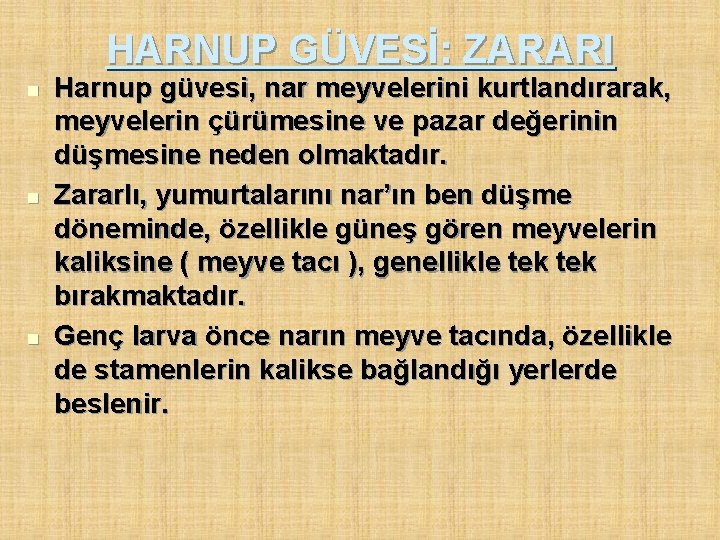 HARNUP GÜVESİ: ZARARI n n n Harnup güvesi, nar meyvelerini kurtlandırarak, meyvelerin çürümesine ve