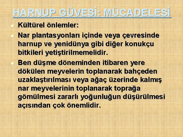 HARNUP GÜVESİ: MÜCADELESİ n n n Kültürel önlemler: Nar plantasyonları içinde veya çevresinde harnup