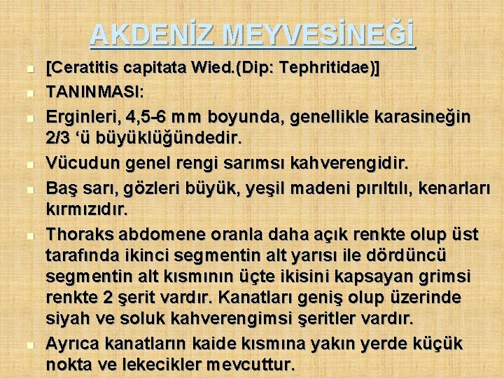 AKDENİZ MEYVESİNEĞİ n n n n [Ceratitis capitata Wied. (Dip: Tephritidae)] TANINMASI: Erginleri, 4,