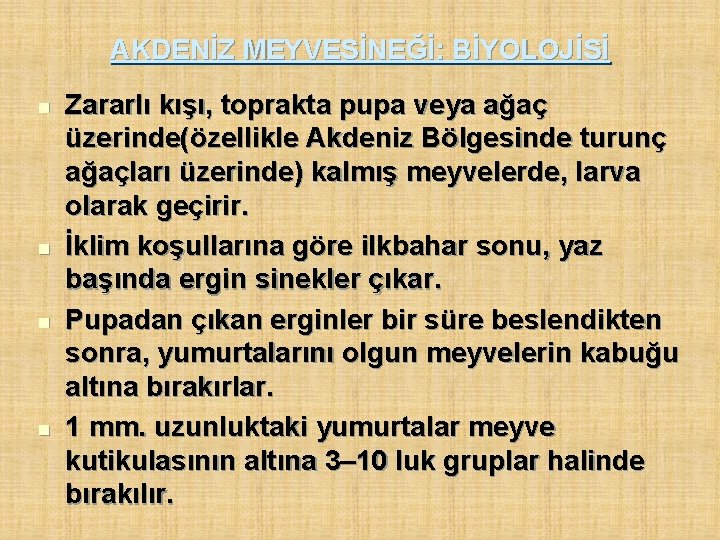 AKDENİZ MEYVESİNEĞİ: BİYOLOJİSİ n n Zararlı kışı, toprakta pupa veya ağaç üzerinde(özellikle Akdeniz Bölgesinde