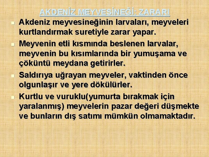 n n AKDENİZ MEYVESİNEĞİ: ZARARI Akdeniz meyvesineğinin larvaları, meyveleri kurtlandırmak suretiyle zarar yapar. Meyvenin