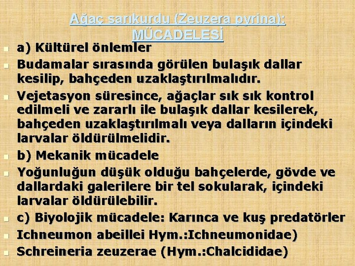 Ağaç sarıkurdu (Zeuzera pyrina): MÜCADELESİ n n n n a) Kültürel önlemler Budamalar sırasında