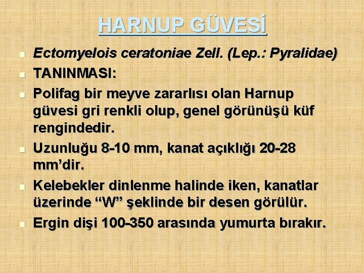 HARNUP GÜVESİ n n n Ectomyelois ceratoniae Zell. (Lep. : Pyralidae) TANINMASI: Polifag bir