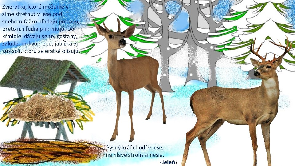 Zvieratká, ktoré môžeme v zime stretnúť v lese pod snehom ťažko hľadajú potravu, preto