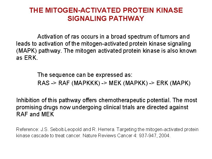 THE MITOGEN-ACTIVATED PROTEIN KINASE SIGNALING PATHWAY Activation of ras occurs in a broad spectrum