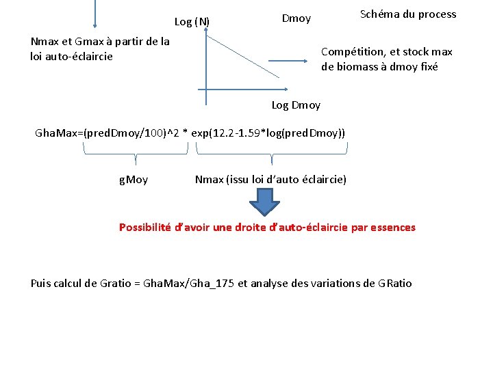 Log (N) Schéma du process Dmoy Nmax et Gmax à partir de la loi