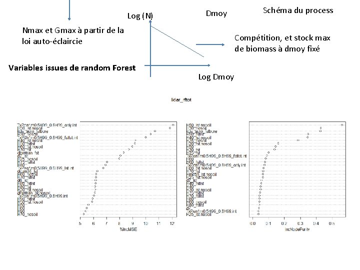 Log (N) Dmoy Nmax et Gmax à partir de la loi auto-éclaircie Variables issues